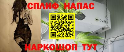 гидра Татарск