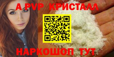стаф Тверь